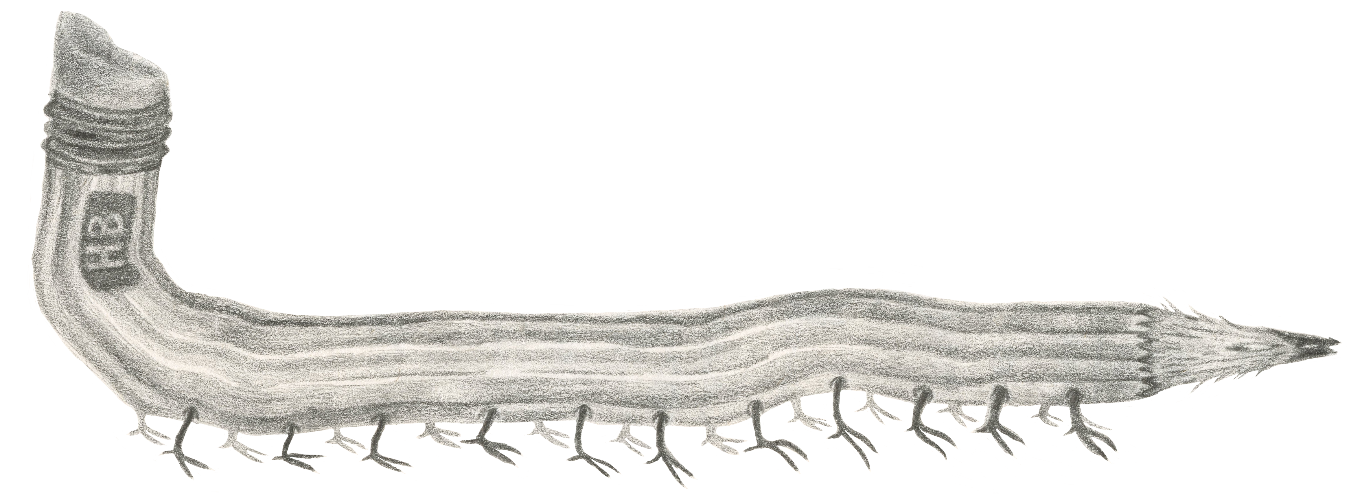 pencil drawing of a pencil