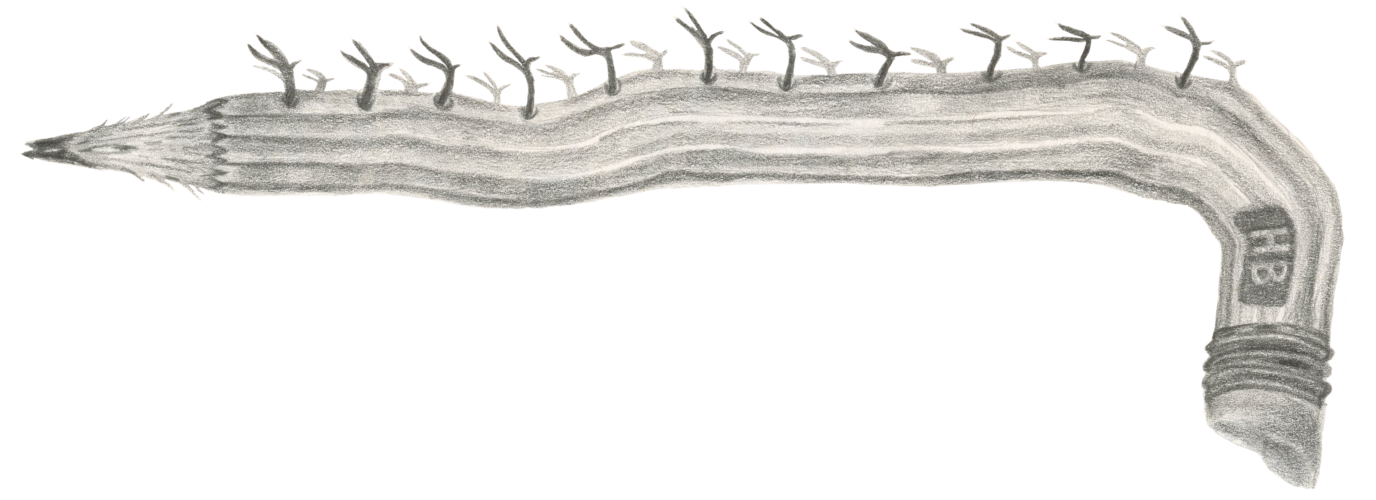 pencil drawing of a pencil